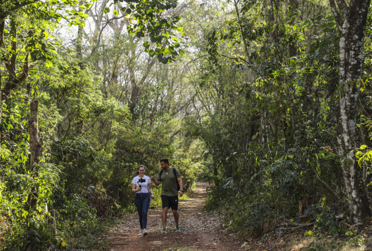 londrina mata dos godoy31daniel castellano 0