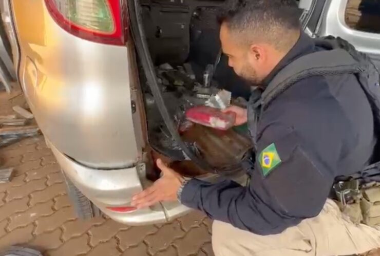 maconha van paraguaia