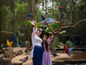 parque das aves 1 1