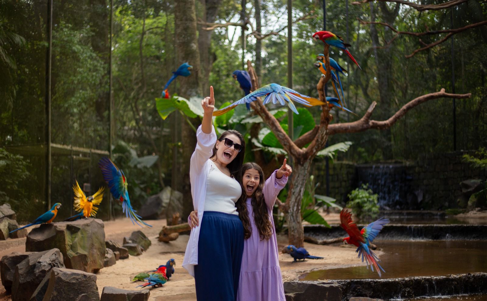 parque das aves 1 1