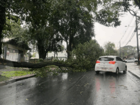 temporal foz