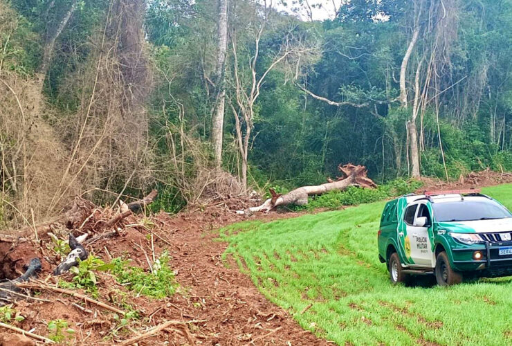 whatsapp image 2025 10 03 at 16.10.25 1