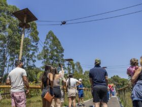 3f15c366 a60d 4bfe a00a a0f882e25114