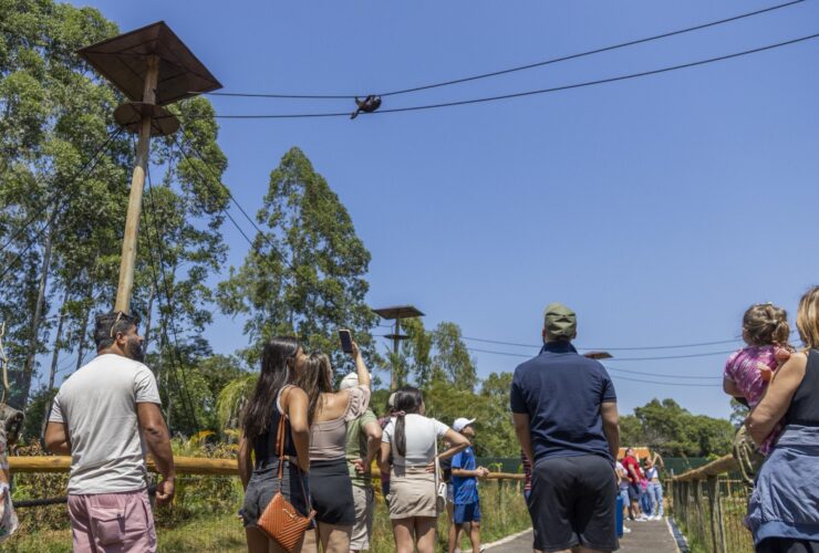 3f15c366 a60d 4bfe a00a a0f882e25114