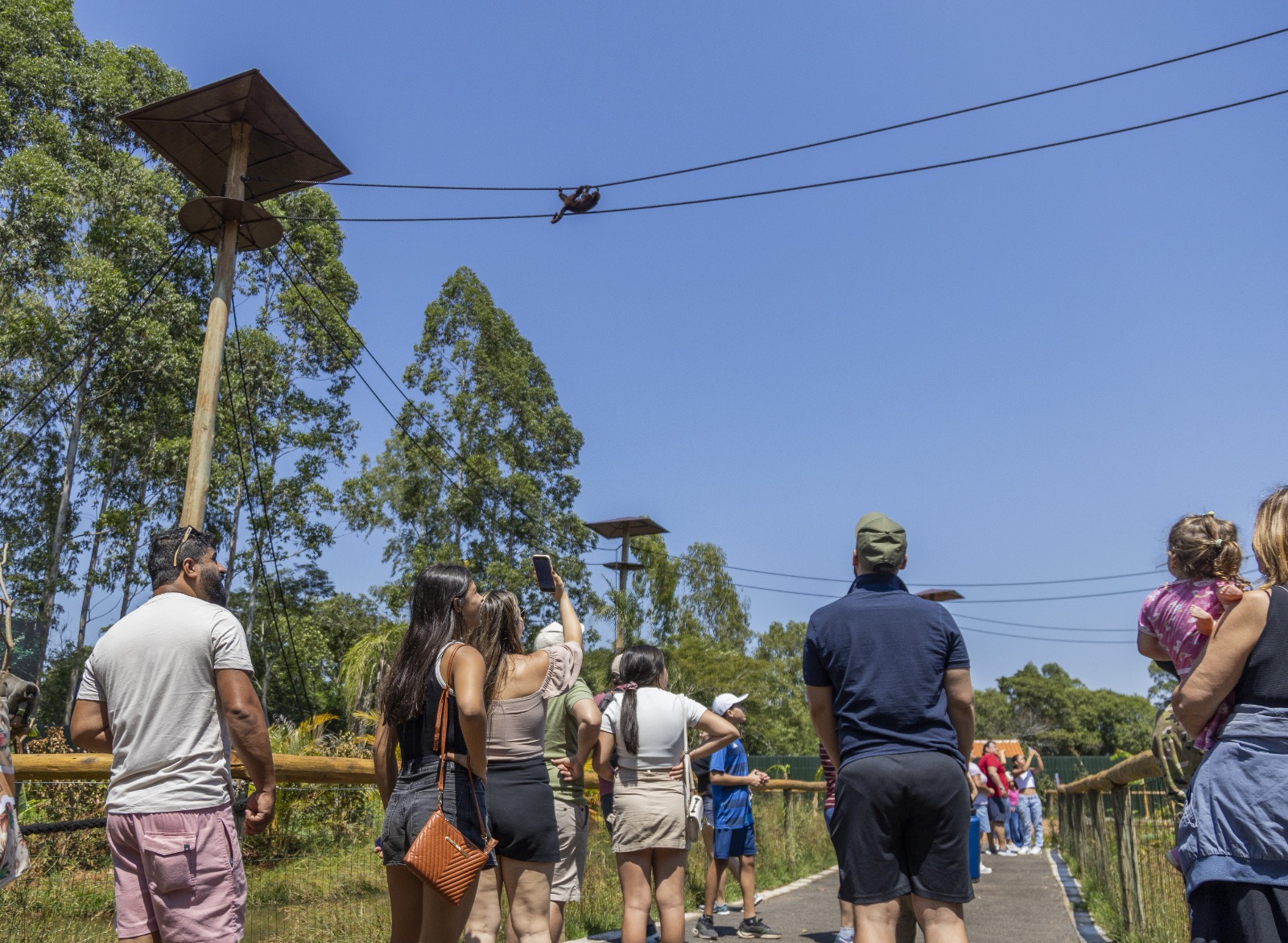 Eco Park Foz celebra aniversário com entrada gratuita para moradores de Foz e descontos especiais para outras cidades 1 3f15c366 a60d 4bfe a00a a0f882e25114
