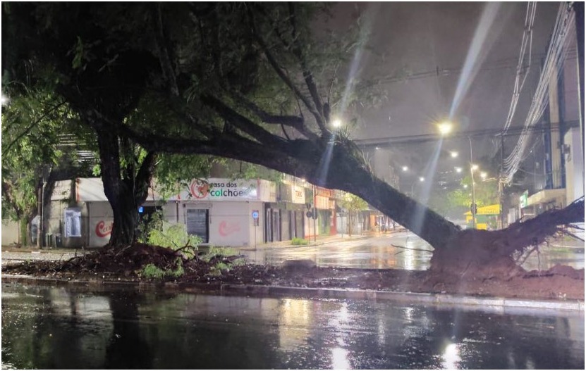 Vendaval causa estragos e mobiliza equipes de emergência em Foz do Iguaçu 1 691ae1f3ef1cc