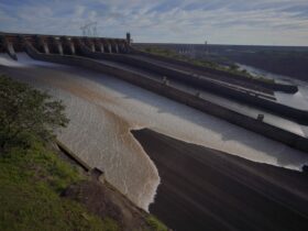 98c7b8e4 83cd 4c70 b70b fc2ecb2c7db7