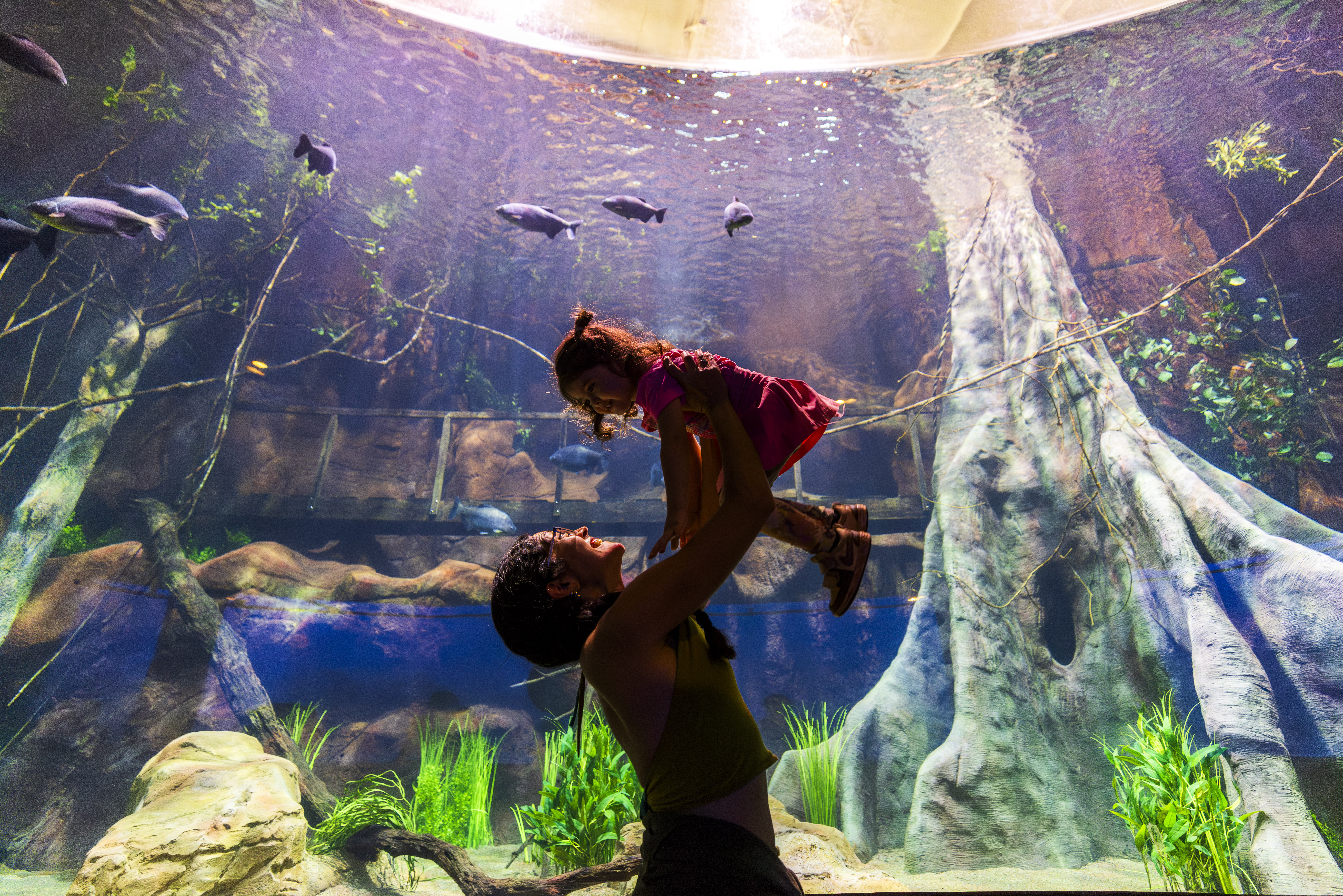 AquaFoz Kiko Sierich 13