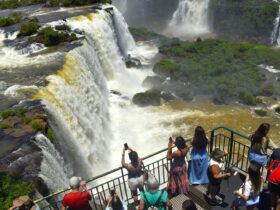 Imagem do WhatsApp de 2025 10 31 as 18.29.48 0b13601c