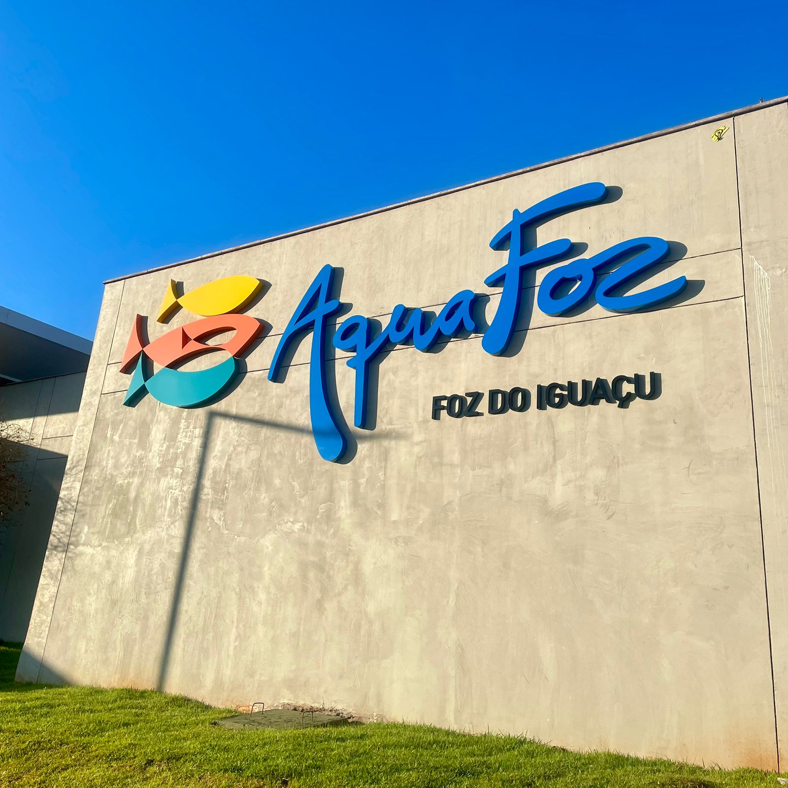 Imagem do WhatsApp de 2025 10 31 as 20.17.36 25468880