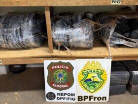 Imagem do WhatsApp de 2025 11 03 as 11.22.58 cfb90ae9