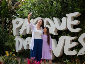 Imagem do WhatsApp de 2025 11 03 as 12.52.02 0b1265d9