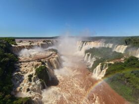 Imagem do WhatsApp de 2025 11 05 as 11.45.34 d8875659