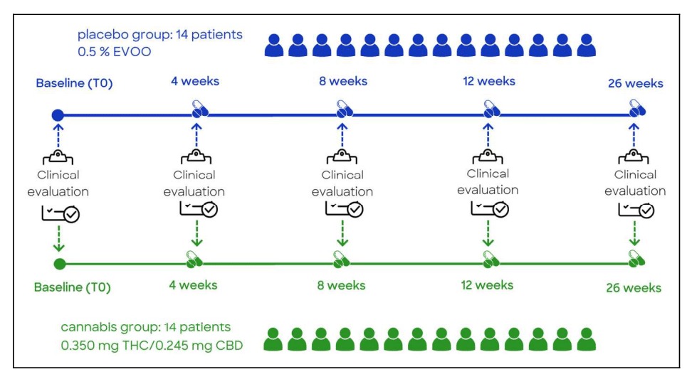 Pesquisa inédita da UNILA demonstra eficácia da cannabis medicinal no tratamento do Alzheimer 2 Imagem do WhatsApp de 2025 11 05 as 13.14.54 c3aed541