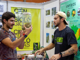 Imagem do WhatsApp de 2025 11 10 as 14.56.18 68ac1562