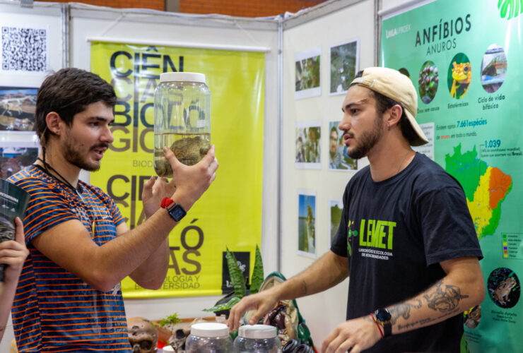 Imagem do WhatsApp de 2025 11 10 as 14.56.18 68ac1562