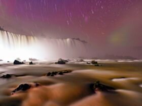 Imagem do WhatsApp de 2025 11 11 as 10.47.30 17b5f218