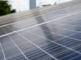 Imagem do WhatsApp de 2025 11 13 as 16.20.23 b85d1022