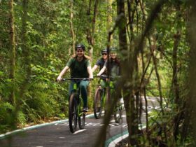 Imagem do WhatsApp de 2025 11 19 as 12.00.33 c60eaaab