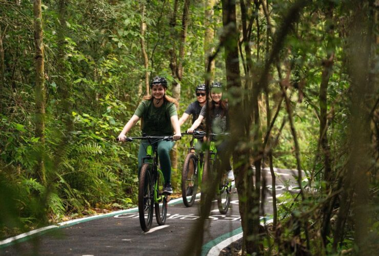 Imagem do WhatsApp de 2025 11 19 as 12.00.33 c60eaaab