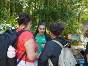 Imagem do WhatsApp de 2025 11 24 as 15.24.35 648eb689