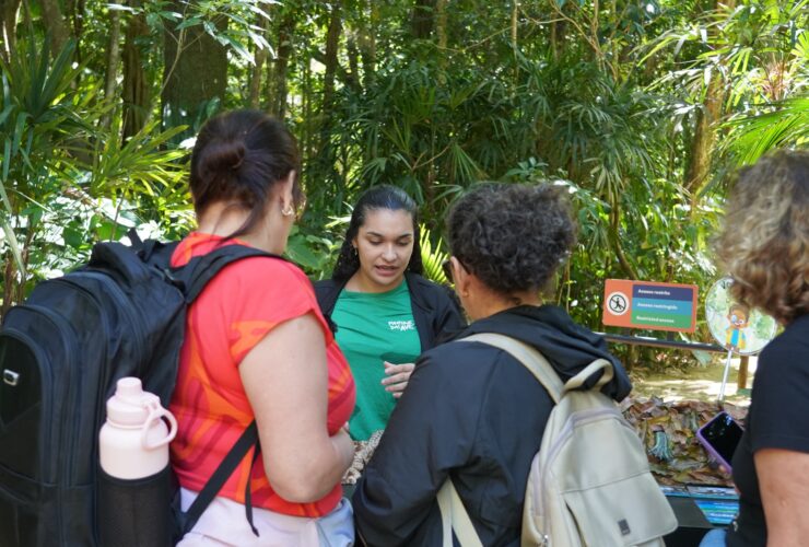 Imagem do WhatsApp de 2025 11 24 as 15.24.35 648eb689