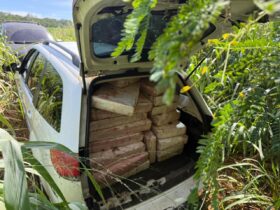 Imagem do WhatsApp de 2025 11 28 as 11.26.10 76cfaeed