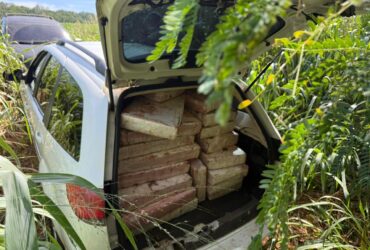 Imagem do WhatsApp de 2025 11 28 as 11.26.10 76cfaeed