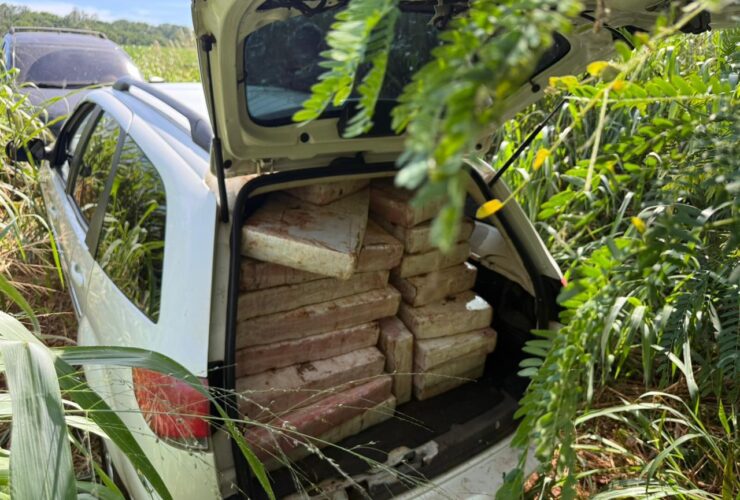 Imagem do WhatsApp de 2025 11 28 as 11.26.10 76cfaeed