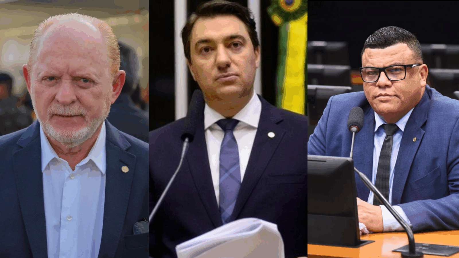 Saberes e Sabores dos caminhos da agroecologia Portfolio online