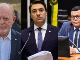 Saberes e Sabores dos caminhos da agroecologia Portfolio online