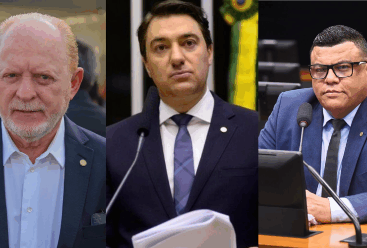 Saberes e Sabores dos caminhos da agroecologia Portfolio online