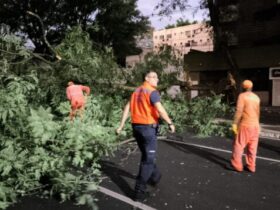 WhatsApp Image 2025 03 05 at 20.41.05 638x358 1