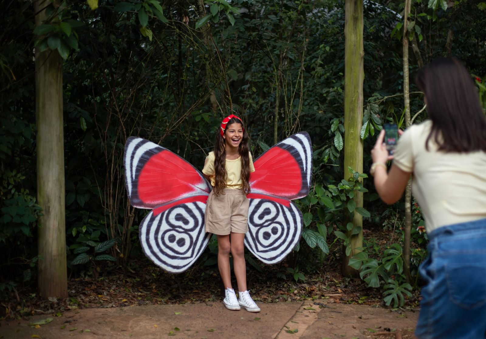 Parque das Aves de Foz oferece atividade gratuita de observação de borboletas e Ciência Cidadã 1 borboletas