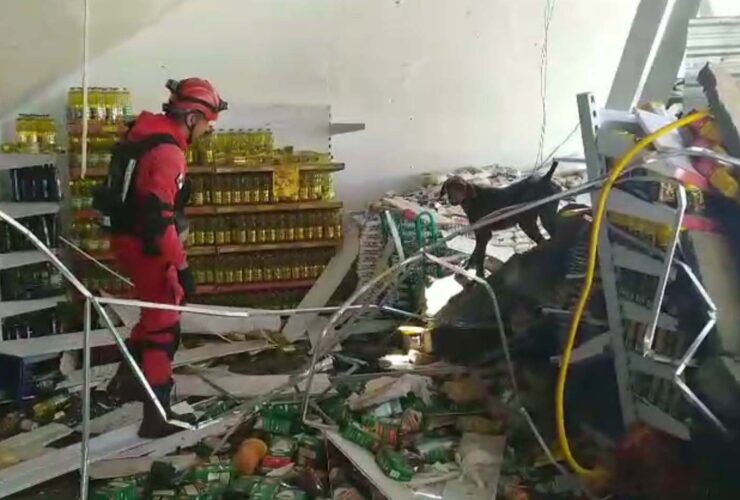 captura de tela 2025 11 18 163306 1