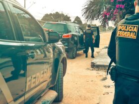 d172dc5a f8a2 414e af7e 19e5b6c0aa20