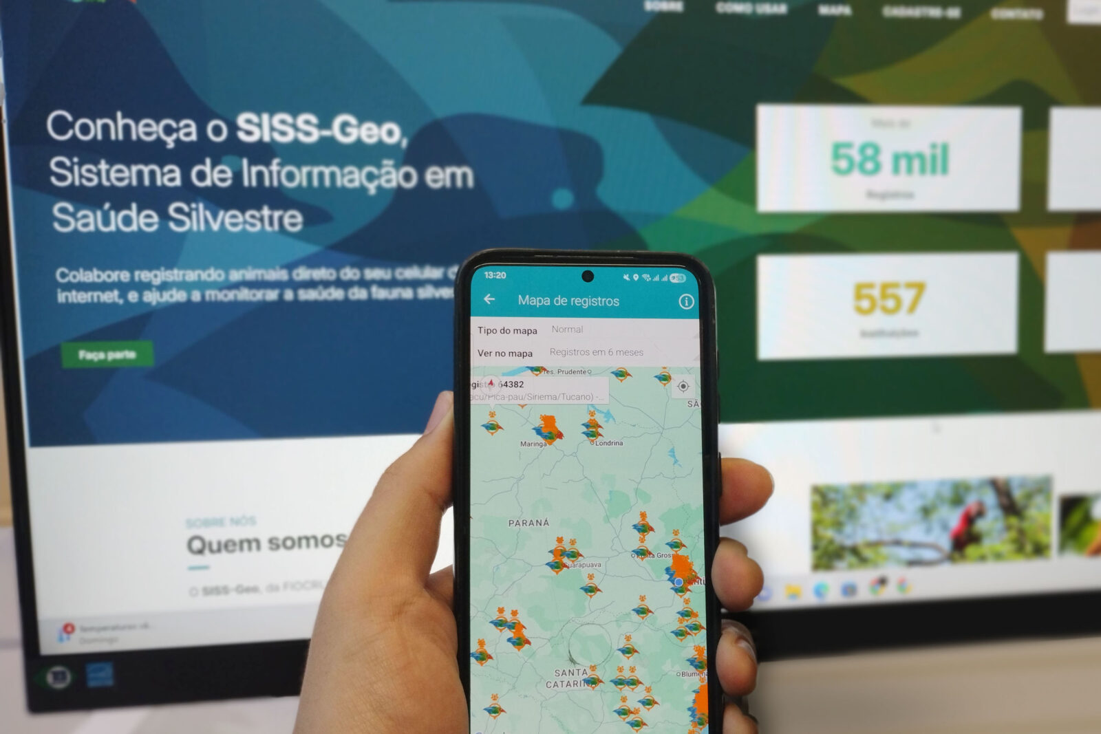 img 20251119 132011846 portrait 1