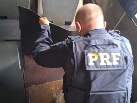prf apreende