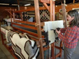 tibagi artesanato. acervo adetur campos gerais
