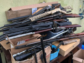 whatsapp image 2025 11 13 at 14.37.19