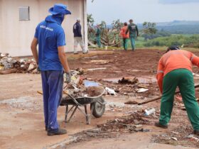 whatsapp image 2025 11 17 at 07.42.29