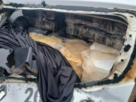 whatsapp image 2025 11 25 at 07.46.09