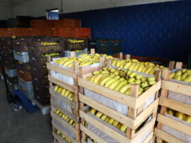 20210316101649 img 0120