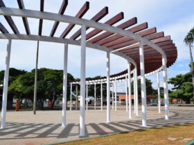 26031282377 2ef3ec33b5 b