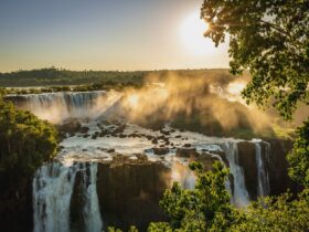 3bcb793f 48d1 4caa b236 dbfd504b8039