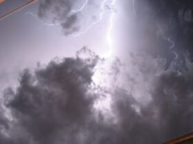 444145051 6737aa7a2e o