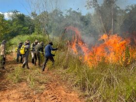 877449be dd07 42b0 8b7a cec673688648