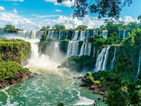 8be88f67fc60a4e2df8e1a36cde2c77f foz2