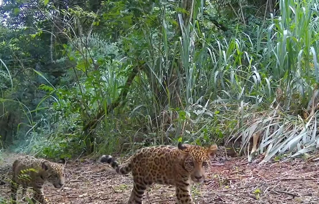 8f0d6b73 cee1 4f55 9b13 45e4ae4ca1cd