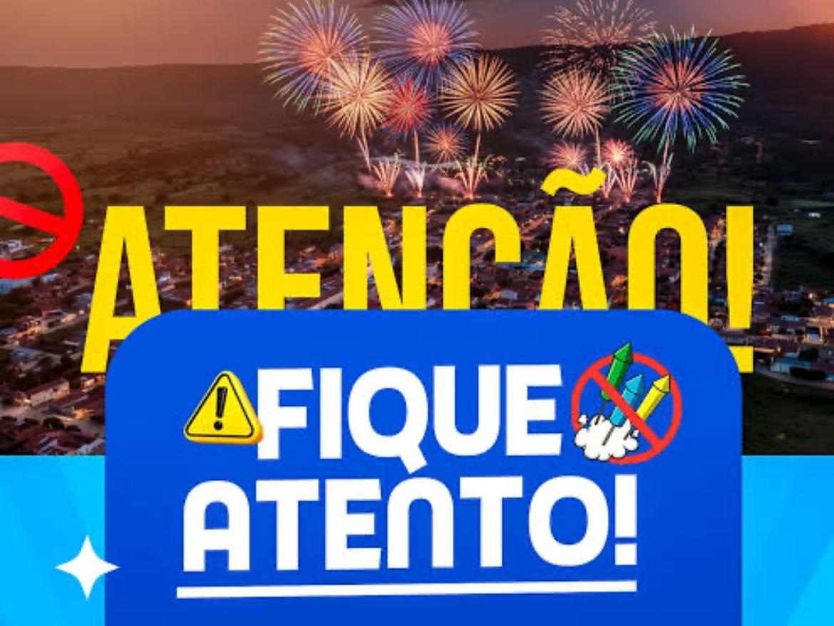 Uso de fogos de artifício com estampido é ilegal em Foz do Iguaçu; denúncias devem ser feitas pelo app eOuve e telefone 156 1 IMG 0561